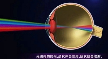 护眼屏是不是智商税-图2