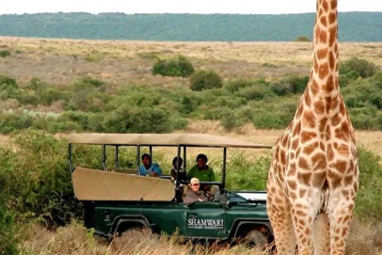 世界地图非洲_地图非洲图片_非洲地图