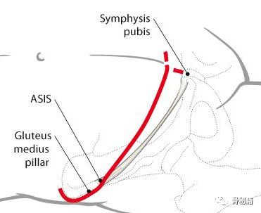 臼怎么读_臼的拼音_臼