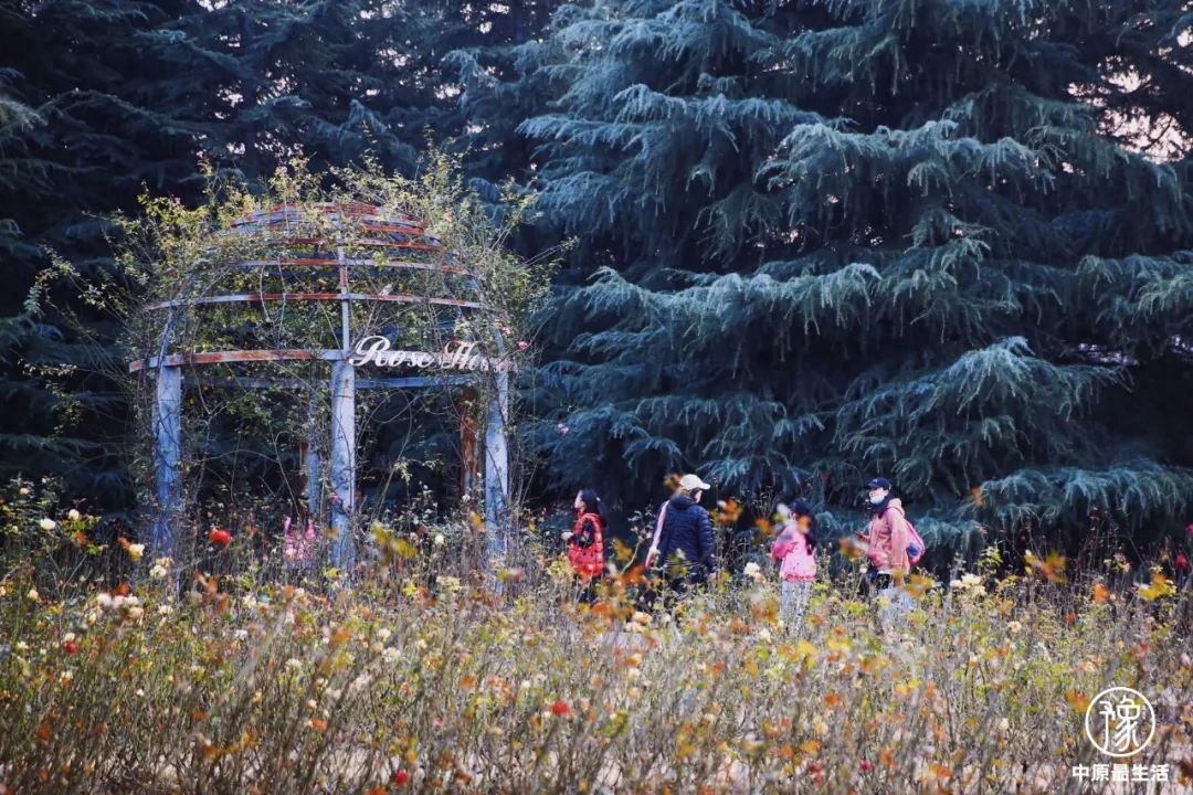 郑州地铁_地铁郑州1号线线路图_地铁郑州线路图