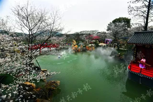 东湖樱花园几点开门_东湖樱花园_东湖樱花园2021年