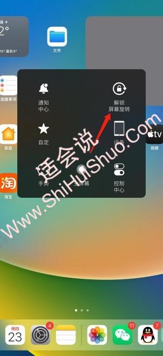 ipad自动旋转屏幕在哪里设置-图11