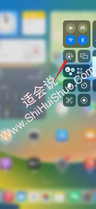 ipad自动旋转屏幕在哪里设置-图2