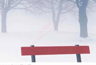 小组件怎么换照片-图5