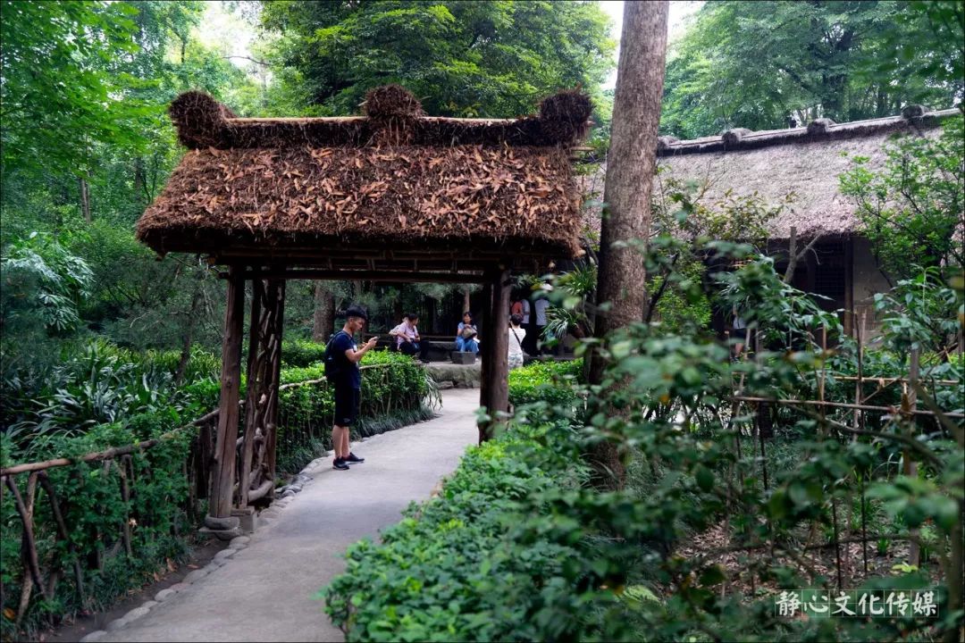 杜甫草堂_杜甫草堂和武侯祠哪个值得去_杜甫草堂简介