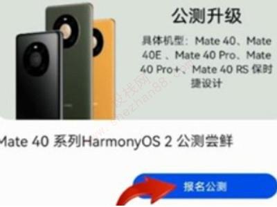 华为mate30pro升级鸿蒙系统步骤-图4