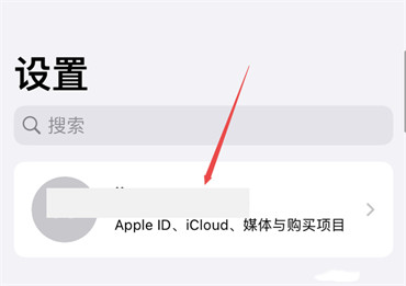 苹果手机在哪退出AppleID-图1