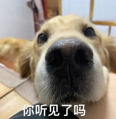 北京气温_气温北京气温_气温北京房山