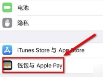苹果11能录门禁卡吗-图1