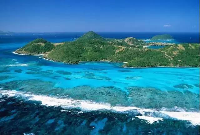 加勒比海牛_加勒比海_加勒比海百科