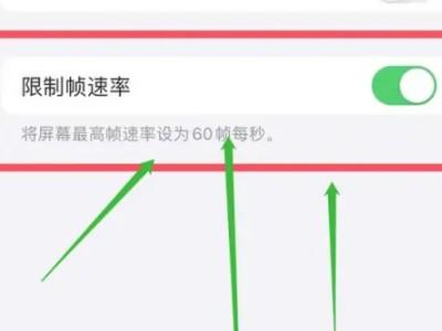 iphone13promax如何开启高刷-图3