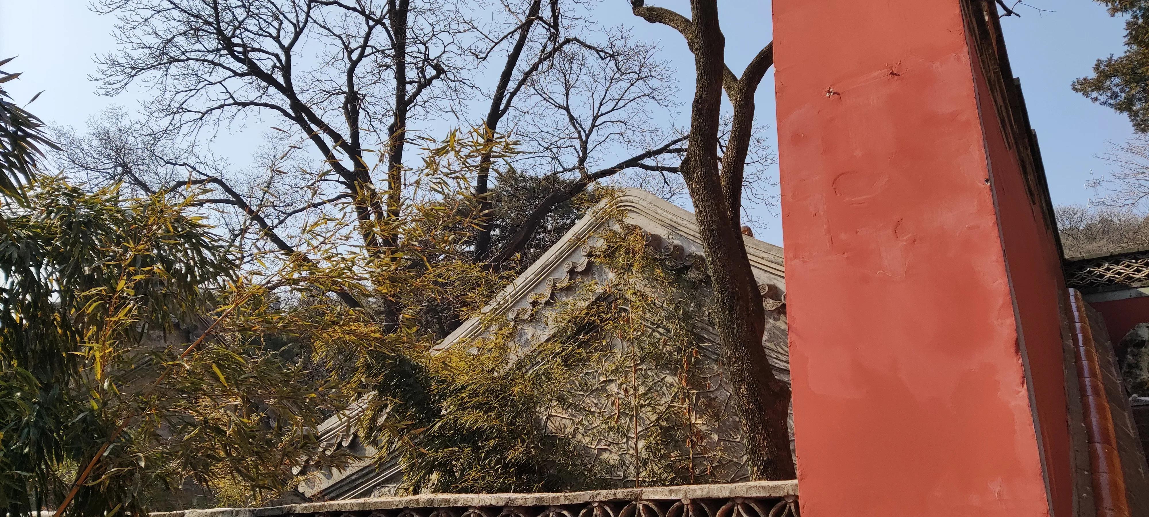 潭柘寺_潭柘寺求什么最灵验_潭柘寺怎么读