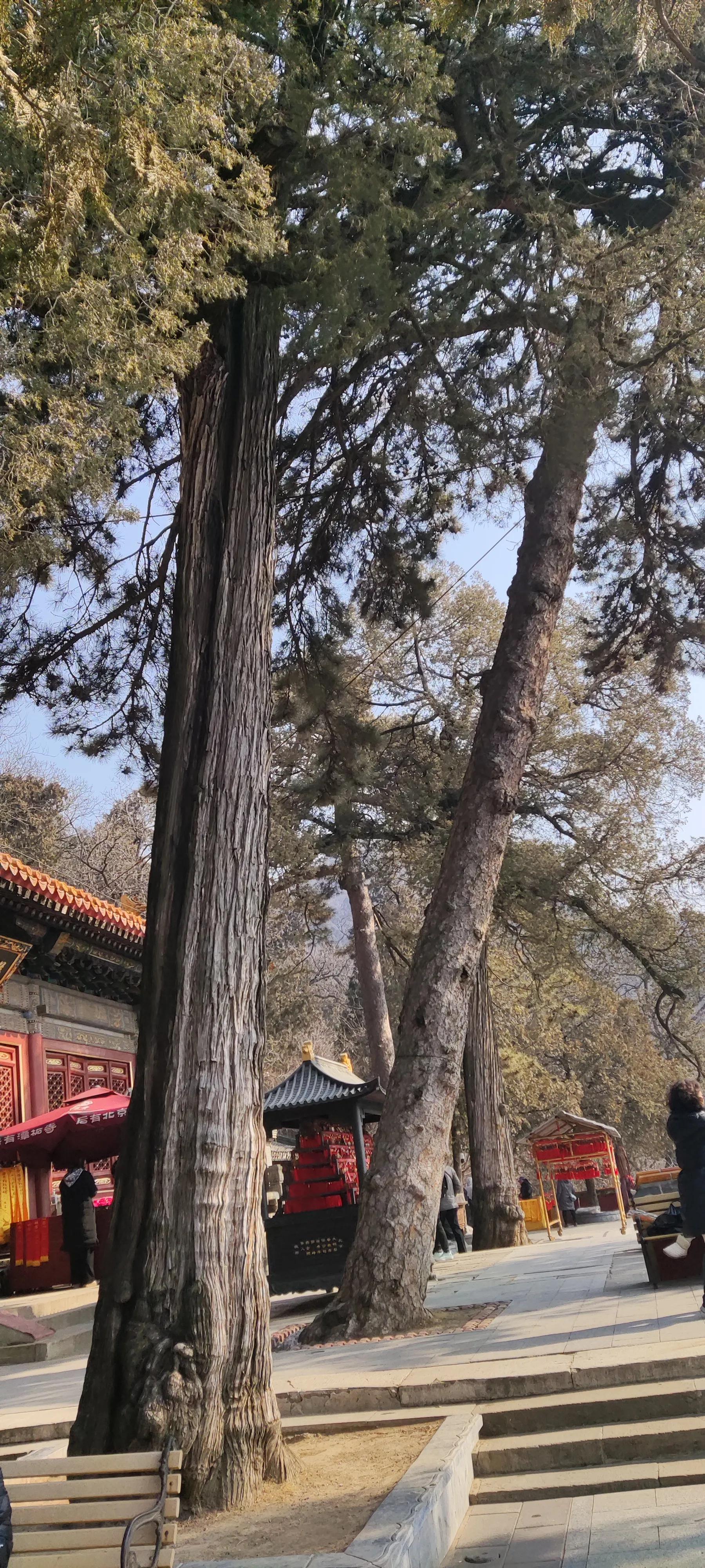 潭柘寺求什么最灵验_潭柘寺_潭柘寺怎么读