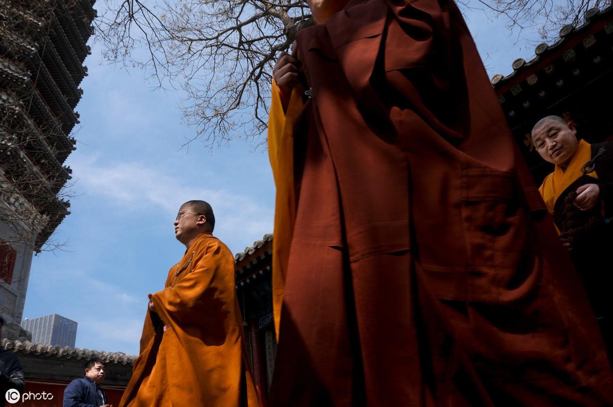 僧打一个生肖_僧帽壶_僧