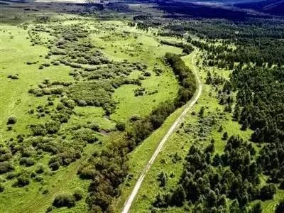 塞罕坝_塞罕坝_塞罕坝