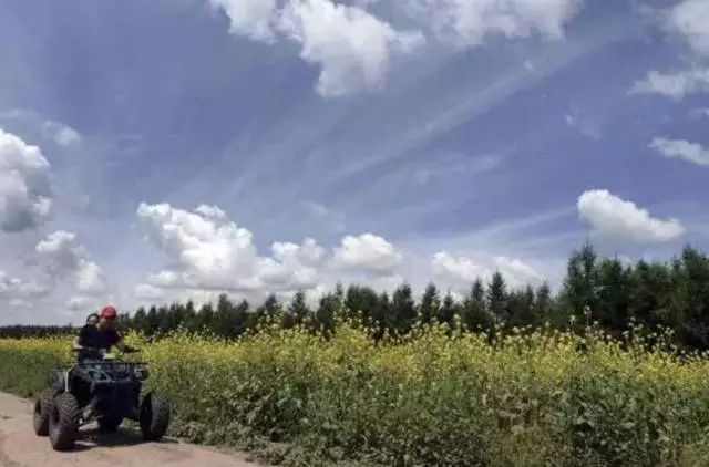 塞罕坝_塞罕坝_塞罕坝