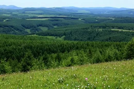 塞罕坝_塞罕坝_塞罕坝