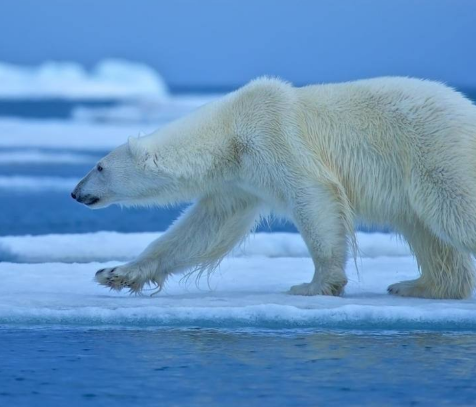 死海文书_死海古卷_死海