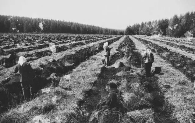 塞罕坝_塞罕坝_塞罕坝