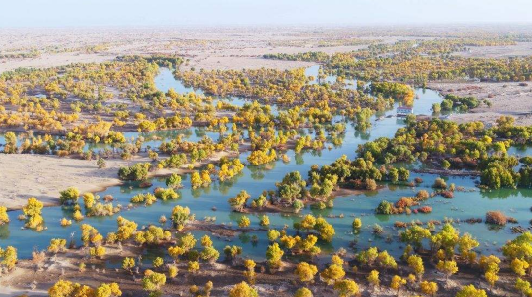 死海文书_死海_死海古卷