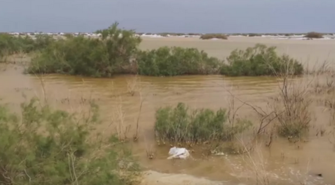 死海古卷_死海_死海文书