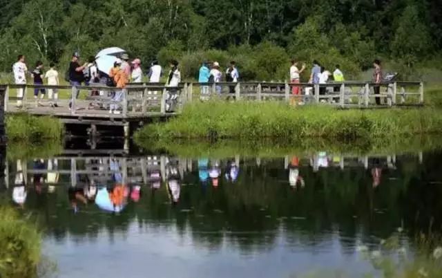 塞罕坝_塞罕坝_塞罕坝