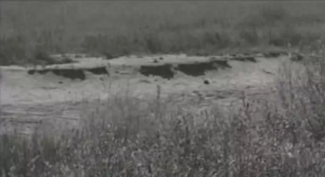 塞罕坝_塞罕坝_塞罕坝