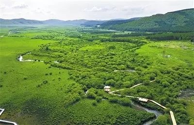 塞罕坝_塞罕坝_塞罕坝