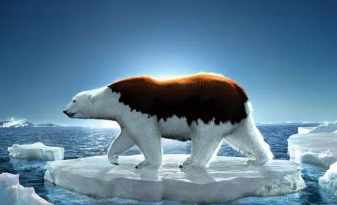 死海文书_死海古卷_死海