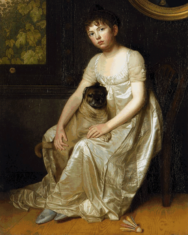 莱州巴哥沙皮头犬_纯种巴哥犬价格_巴哥犬