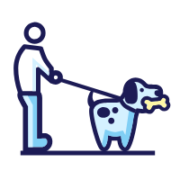 纯种巴哥犬价格_莱州巴哥沙皮头犬_巴哥犬