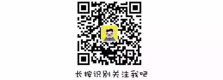 巴哥犬_纯种巴哥犬价格_莱州巴哥沙皮头犬