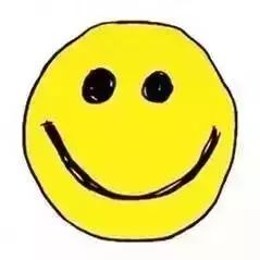 纯种巴哥犬价格_莱州巴哥沙皮头犬_巴哥犬