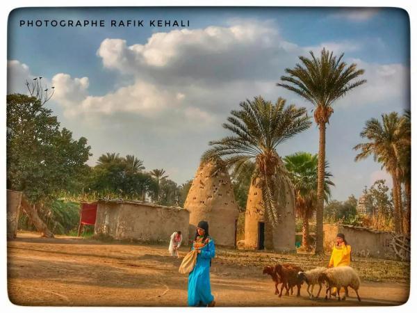 突尼斯_突尼斯首都_突尼斯是哪个洲的国家