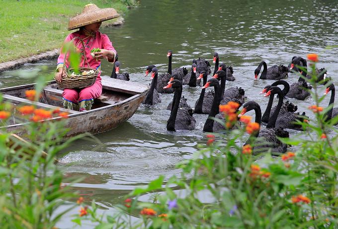 广州欢乐长隆世界_欢乐长隆世界的地图_长隆欢乐世界
