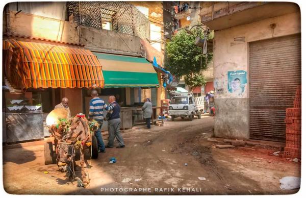 突尼斯_突尼斯是哪个洲的国家_突尼斯首都