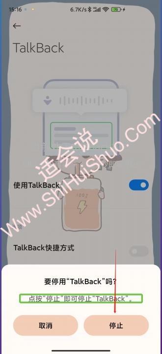 手机变成无障碍模式怎么解除-图13