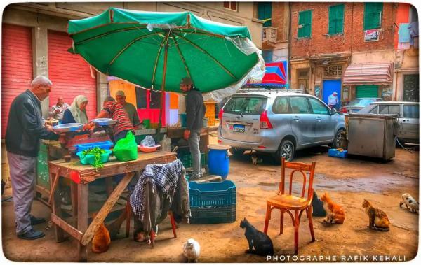 突尼斯是哪个洲的国家_突尼斯首都_突尼斯