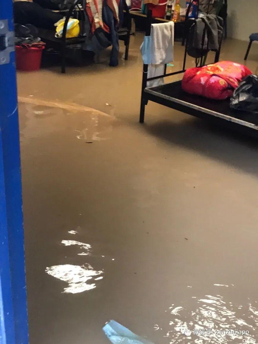 新加坡天气预报_新加坡天气_新加坡天气预报15天查询百度