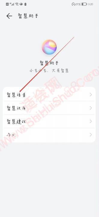 华为手机有语音助手吗-图6