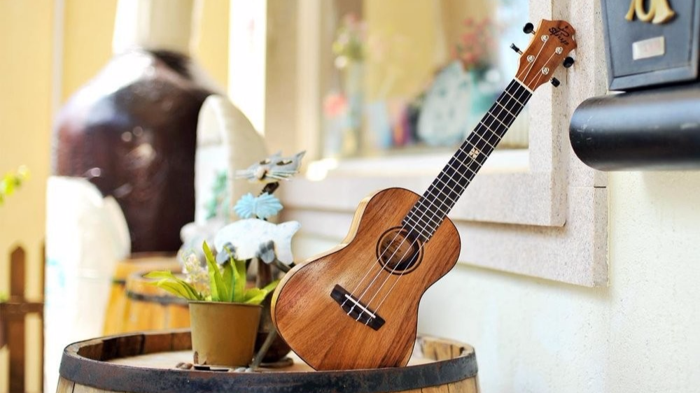 尤克里里新手入门指法_尤克里里指法入门教程_零基础入门尤克里里