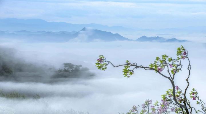 天台山一日游攻略_天台山_天台山旅游攻略