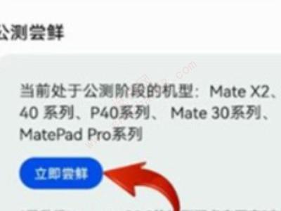 荣耀60鸿蒙系统怎么升级-图2
