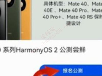 荣耀60鸿蒙系统怎么升级-图3