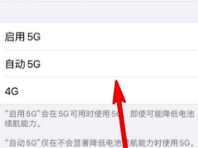 苹果独立5g要不要打开-图4