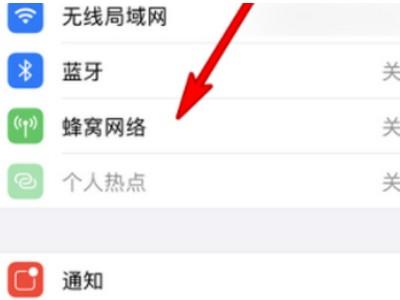 苹果独立5g要不要打开-图2