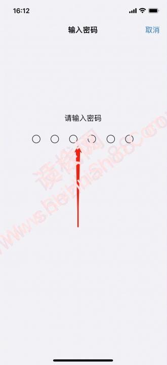 iphone口罩解锁-图2