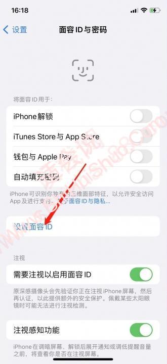 iphone口罩解锁-图3