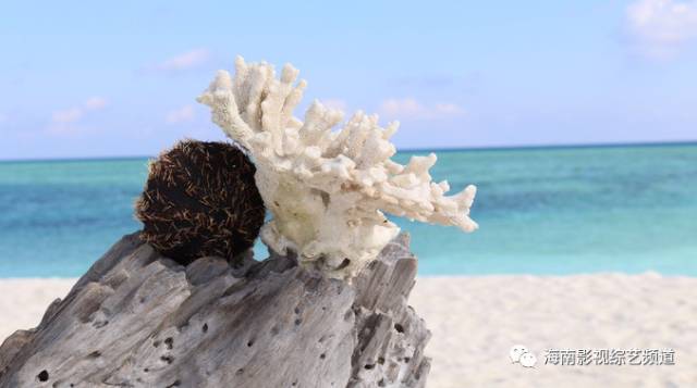 去西沙群岛贵吗_西沙群岛自由行怎么去_西沙群岛怎么去