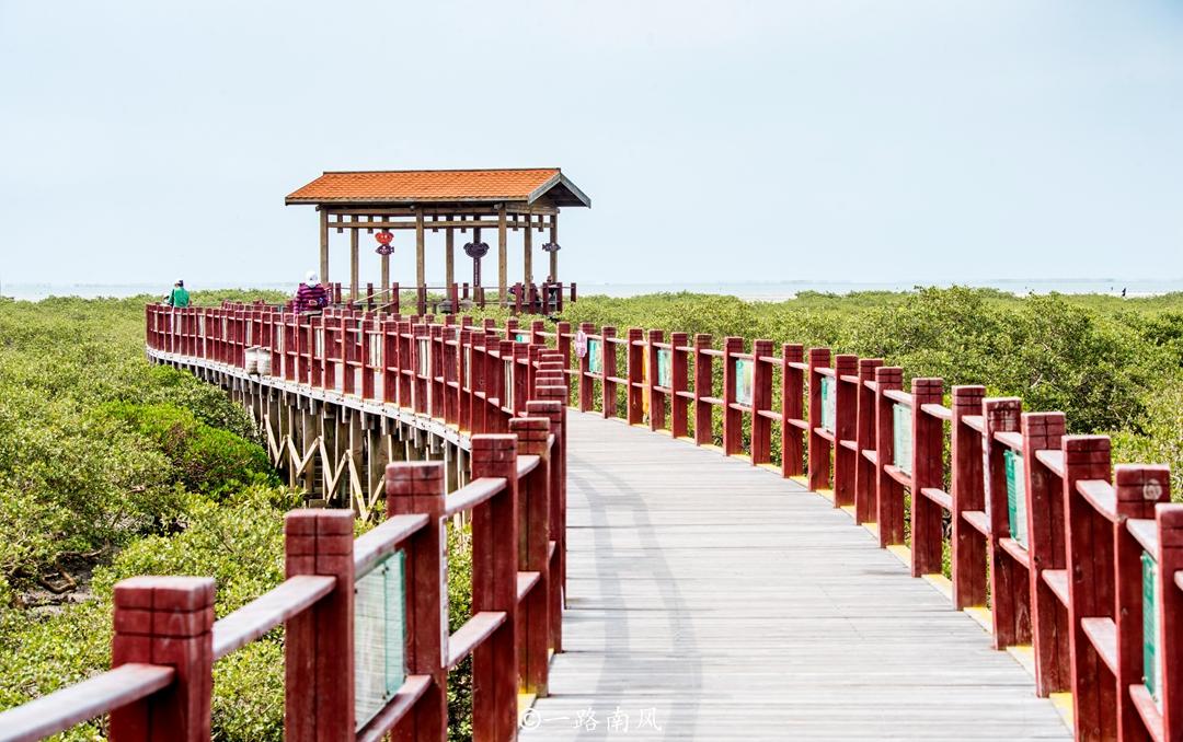 北海市市_北海市在哪个省_北海省市代码